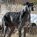 Interesting place...