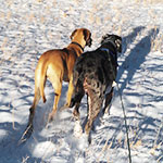 What's that over there?