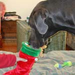 Hmm... what's in here?