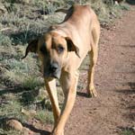 Checking out the spread